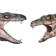 Two ancient herbivorous crocodyliforms, Chimaerasuchus (left) and Pakasuchus (right).